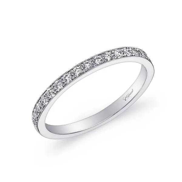 Exquisite 14 Karat White Gold Diamond Band - 0.27 Carat Total Weight/ VanScoy Jewelers of Wyomissing similar item image