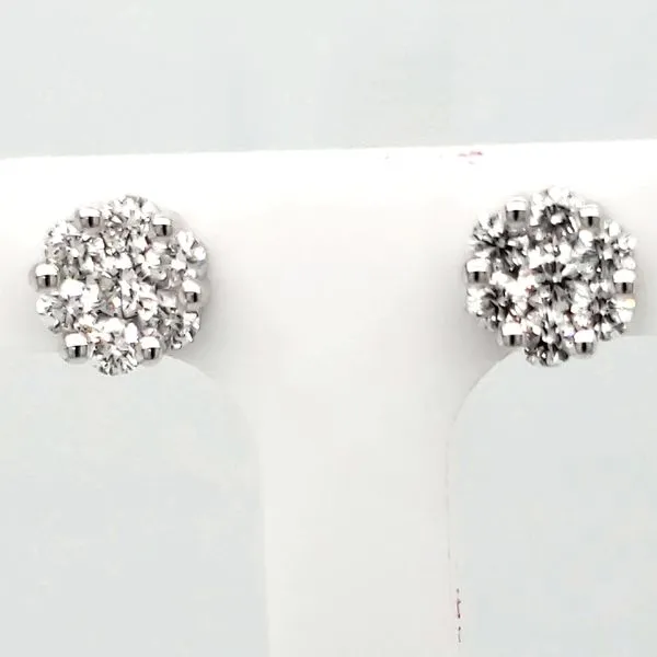 Lady's Cluster Earrings Van Scoy Jewelers Wyomissing, PA