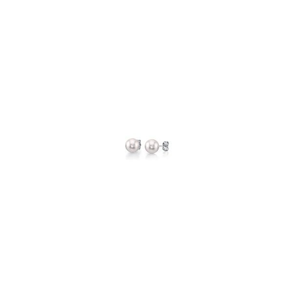 14K White Gold Akoya Cultured Pearl Stud Earrings – 6-6.5mm Van Scoy Jewelers Wyomissing, PA