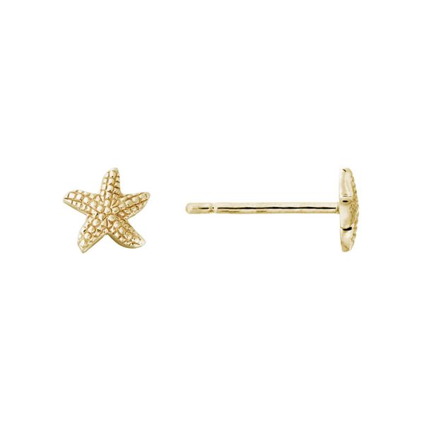 Petite Star Fish Gold Earrings Van Scoy Jewelers Wyomissing, PA