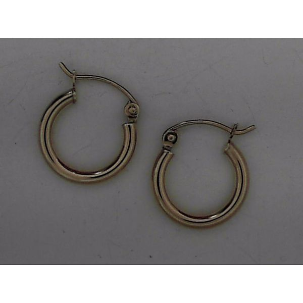 Lady's Small Gold Earrings Van Scoy Jewelers Wyomissing, PA