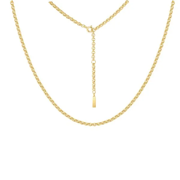 ANIA HAIE Sterling Silver with Gold Plate Classic Rolo Chain Necklace – Elegant & Timeless Jewelry Van Scoy Jewelers Wyomissing, PA