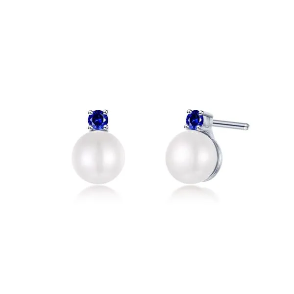 Silver Earrings Van Scoy Jewelers Wyomissing, PA