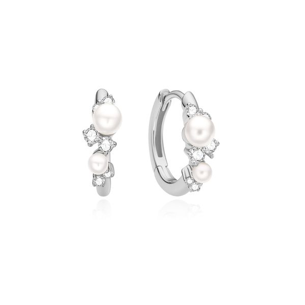 Silver Earrings Van Scoy Jewelers Wyomissing, PA