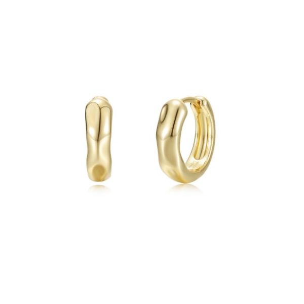 Silver Earrings Van Scoy Jewelers Wyomissing, PA