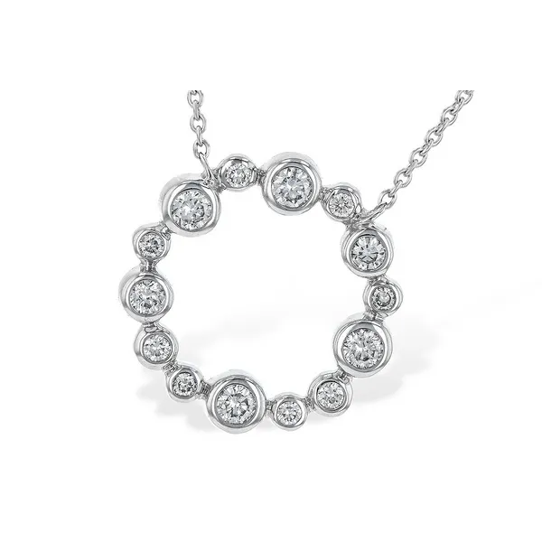 14k WG 0.25CTTW Rd Diamond Circular Stationary Necklace Vaughan's Jewelry Edenton, NC