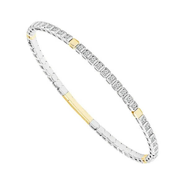14k YG/WG 1.50CTTW Two Tone Diamond Titanium Core Bracelet Vaughan's Jewelry Edenton, NC