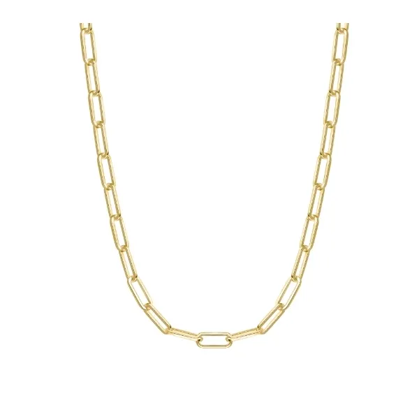 YGP Medium Chain Necklace Vaughan's Jewelry Edenton, NC