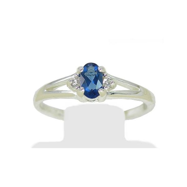 4, Sept SS Birthstone Rings Vaughan's Jewelry Edenton, NC