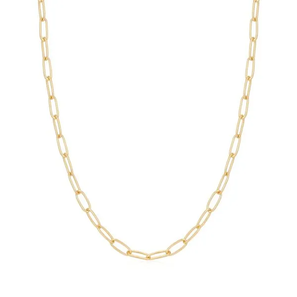 YGP, Link Charm Chain Necklace Vaughan's Jewelry Edenton, NC