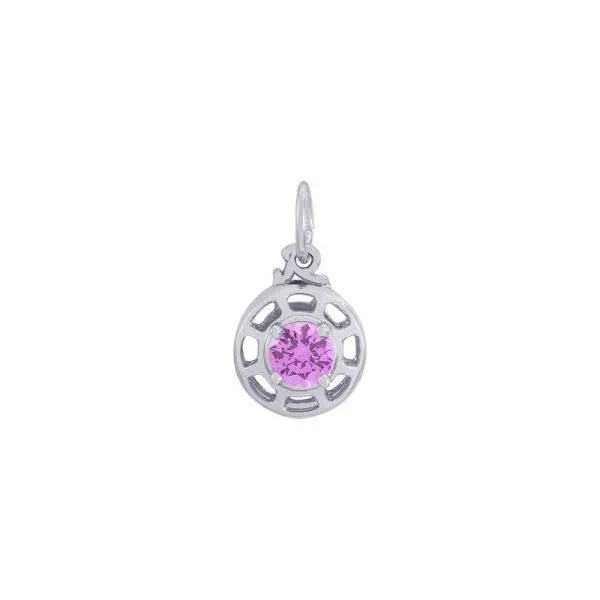 SS Insightful Charm-Feb Vaughan's Jewelry Edenton, NC