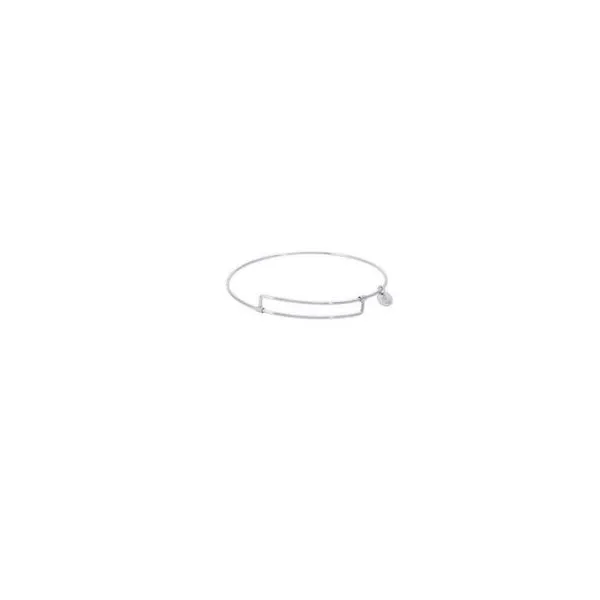 SS Pure Bangle Bracelet Vaughan's Jewelry Edenton, NC