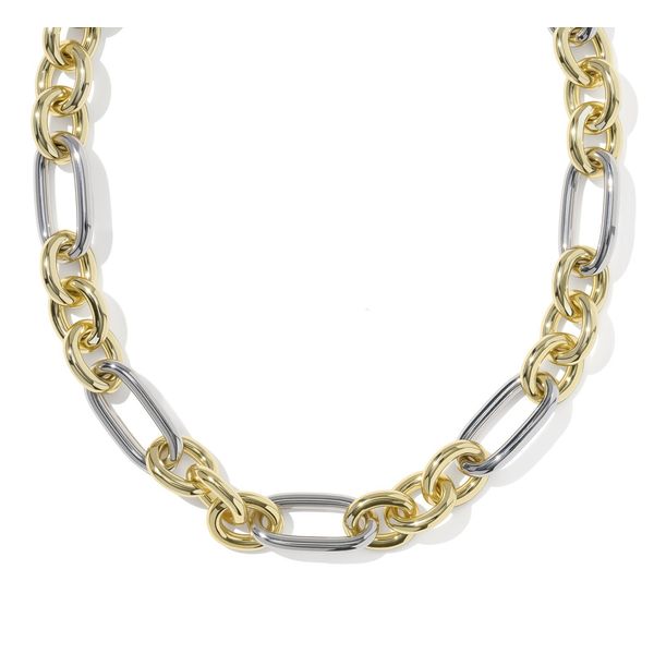 Embry Link & Chain Necklace, Mixed Metal Vaughan's Jewelry Edenton, NC