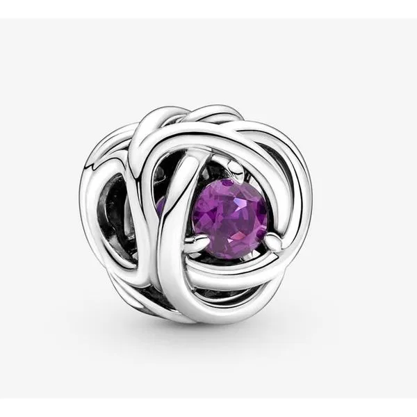 Purple Eternity Circle Charm, Purple Crystal  --  February Vaughan's Jewelry Edenton, NC