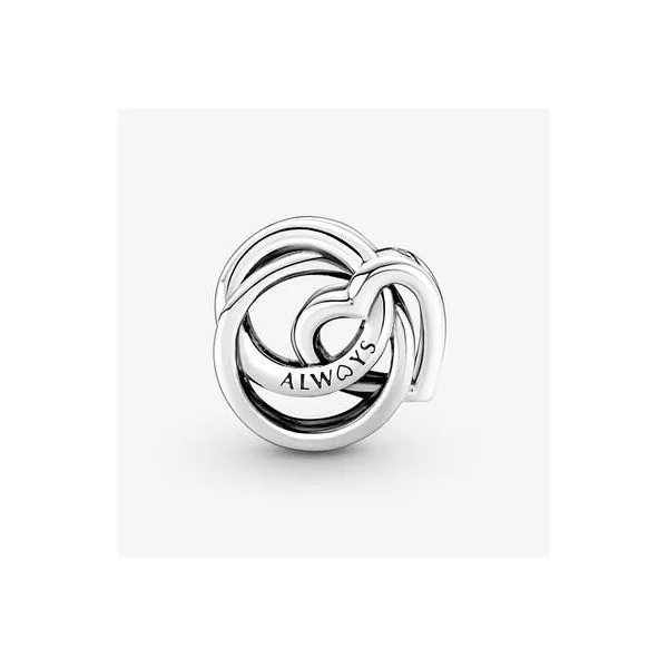 Family Always Encircled Heart Charm Image 2 Vaughan's Jewelry Edenton, NC