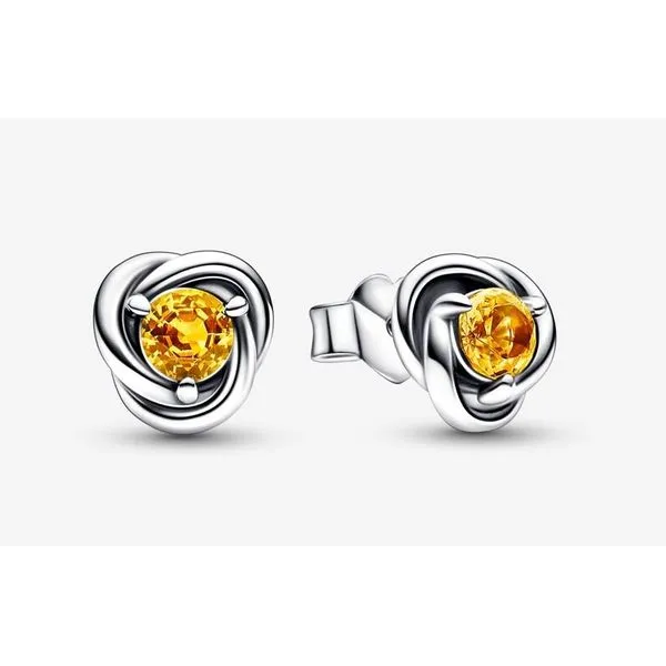 Honey Eternity Circle Studs, Honey Colored Crystal - November Vaughan's Jewelry Edenton, NC