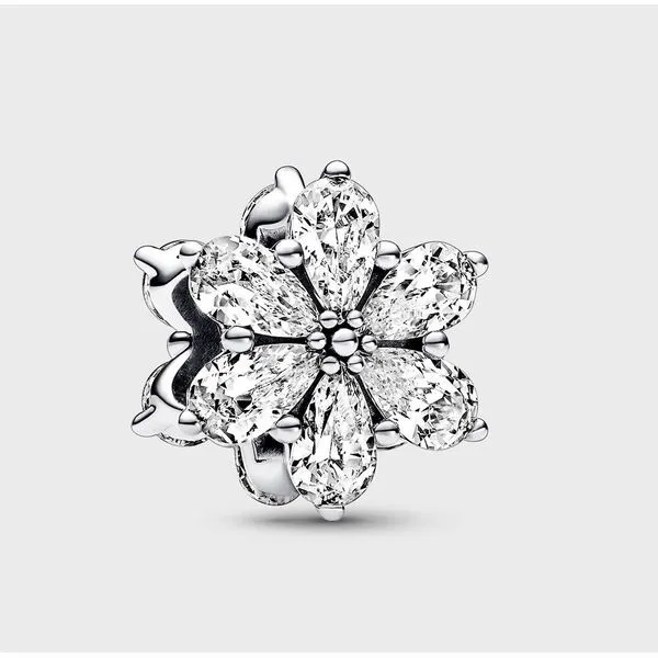 Sparkling Herbarium Cluster, Clear CZ Charm Vaughan's Jewelry Edenton, NC