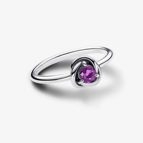 7.5, Purple Eternity Circle Ring, Sweet Grape Purple Crystal - February Vaughan's Jewelry Edenton, NC