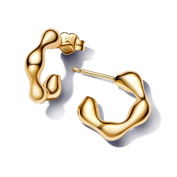 YGP Essence Organically Open Hoop Earrings Vaughan's Jewelry Edenton, NC