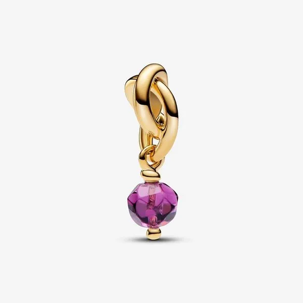 YGP February Purple Eternity Circle Dangle Charm, Sweet Grape Purple Man-Made Crystal Vaughan's Jewelry Edenton, NC
