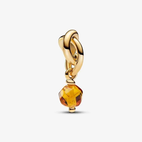 YGP November Honey Eternity Circle Dangle Charm, Man-Made Crystal Vaughan's Jewelry Edenton, NC