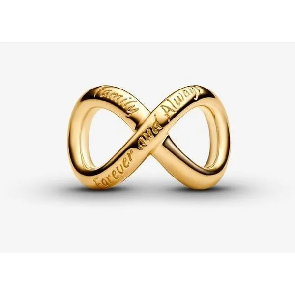 YGP Forever & Always Infinity Charm Vaughan's Jewelry Edenton, NC