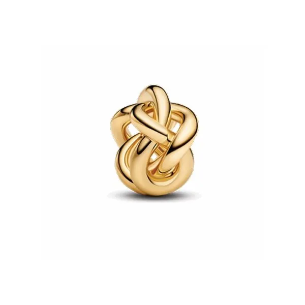 YGP, Infinity Knot Charm Vaughan's Jewelry Edenton, NC