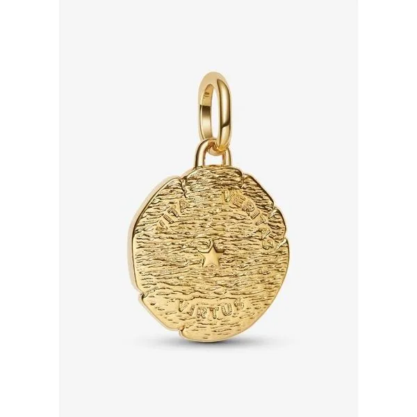 YGP Lion Medallion Charm, Clear CZ (Life, Honesty, Courage) Image 2 Vaughan's Jewelry Edenton, NC