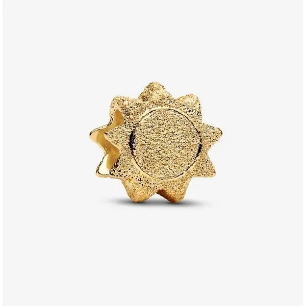 YGP Textured Sun Mini Charm Vaughan's Jewelry Edenton, NC