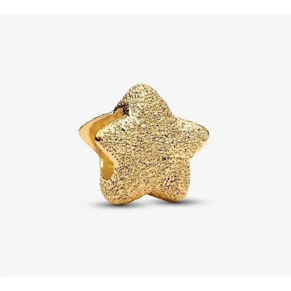YGP Textured Star Mini Charm Vaughan's Jewelry Edenton, NC