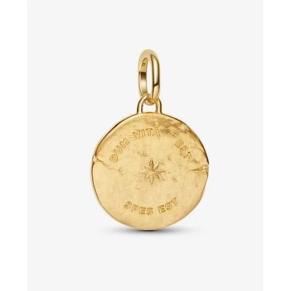 YGP Swallow Medallion Charm, Clear CZ (Where There is Life, There is Hope) Image 2 Vaughan's Jewelry Edenton, NC