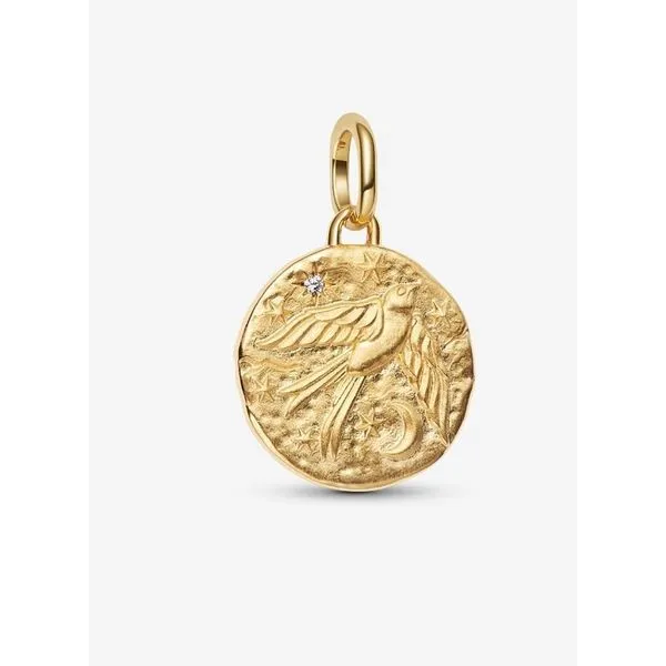 YGP Swallow Medallion Charm, Clear CZ (Where There is Life, There is Hope) Vaughan's Jewelry Edenton, NC