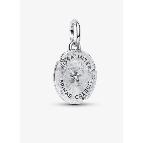 YGP/SS Rose Medallion Charm, Clear CZ (Beauty Can Rise Even Among Thorns) Image 2 Vaughan's Jewelry Edenton, NC