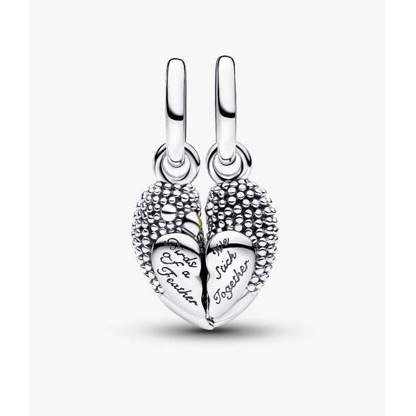 Love Birds Splittable Magnetic Dangle Charms Image 2 Vaughan's Jewelry Edenton, NC