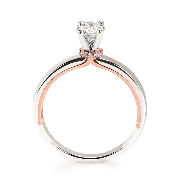14k WG/RG .05CT Diamond Hidden Halo Double Band Engagement Ring (Center Sold Separately) Image 3 Vaughan's Jewelry Edenton, NC