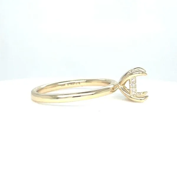 14kt Yellow Gold Solitaire Engagement Ring Setting with Diamond Hidden Halo Image 2 Venus Jewelers Somerset, NJ