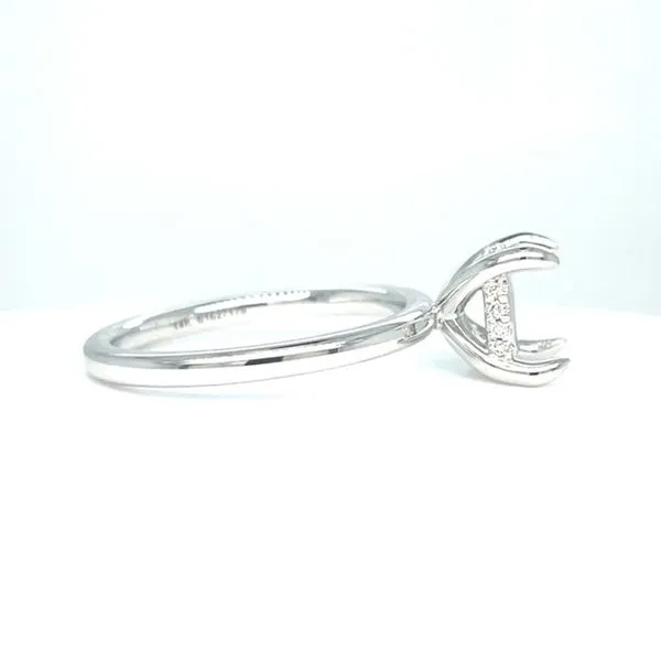 14kt White Gold Hidden Halo Round Center Diamond Engagement Ring Image 2 Venus Jewelers Somerset, NJ