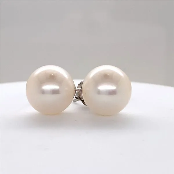 14kt White Gold Akoya Pearl Studs Venus Jewelers Somerset, NJ