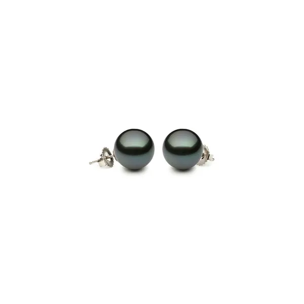 Lady’s 14K White Gold Tahitian Pearl Stud Earrings – 10.50-11.00mm Venus Jewelers Somerset, NJ