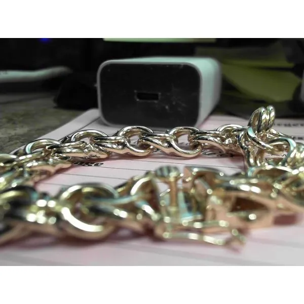 Yellow 14 Karat Heavy Charm Bracelet Image 2 Venus Jewelers Somerset, NJ