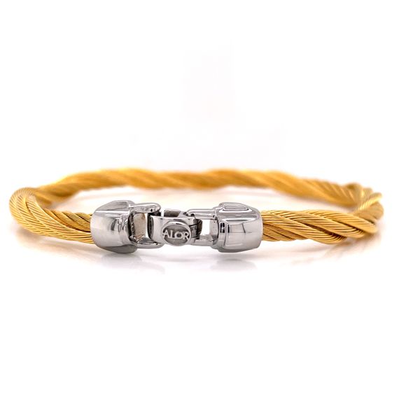 Yellow Stainless Steel Twisted Cable Bracelet Image 3 Venus Jewelers Somerset, NJ
