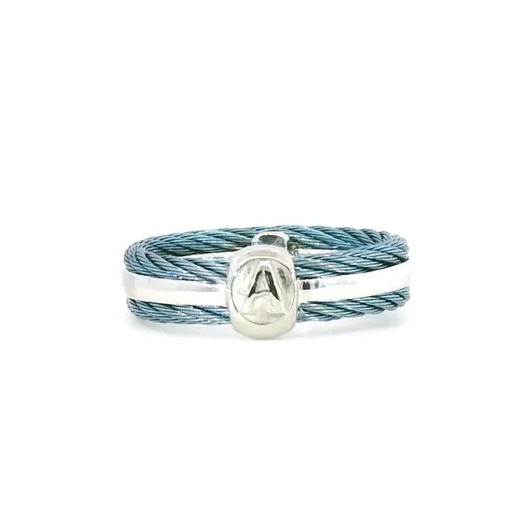 Island Blue Stainless & 14K Gold Eternity Band with 0.12Tw Diamonds – Size 6.5 Image 2 Venus Jewelers Somerset, NJ