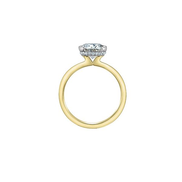 3.55ct Oval Lab Grown Diamond Ring Image 3 Victoria Jewellers REGINA, SK