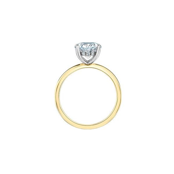 3.02ct Lab Grown Oval Diamond Ring Image 2 Victoria Jewellers REGINA, SK