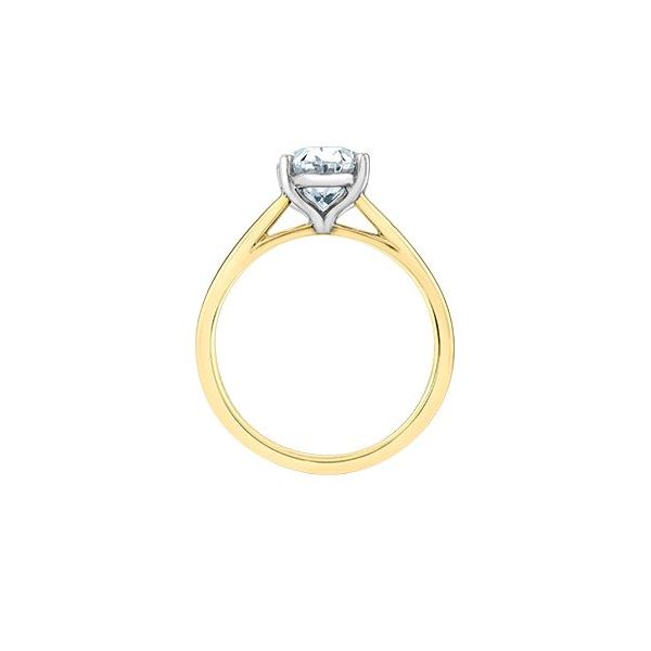 0.70ct Oval Brilliant Cut Lab Grown Diamond Ring Image 3 Victoria Jewellers REGINA, SK