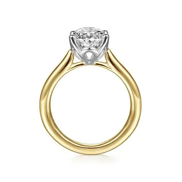 Gabriel & Co Semi-Mount Ring Image 2 Victoria Jewellers REGINA, SK