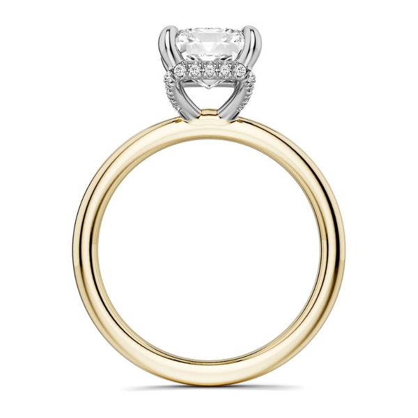 Noam Carver Semi-Mount Ring Image 3 Victoria Jewellers REGINA, SK