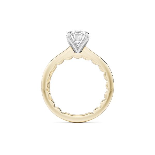 Noam Carver Semi-Mount Ring - Luna Image 3 Victoria Jewellers REGINA, SK