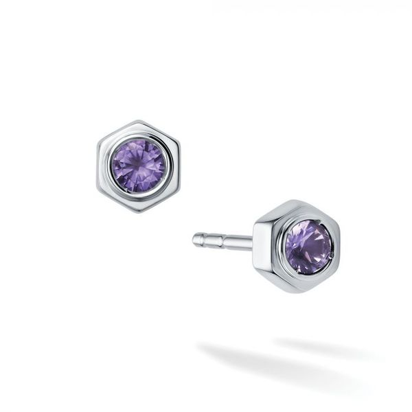 BIRKS Amethyst Earrings Victoria Jewellers REGINA, SK