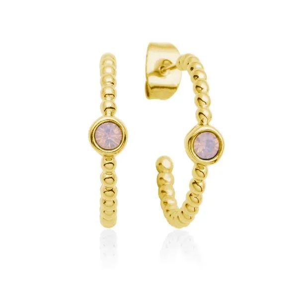 Plated Stainless Steel Earrings Victoria Jewellers REGINA, SK